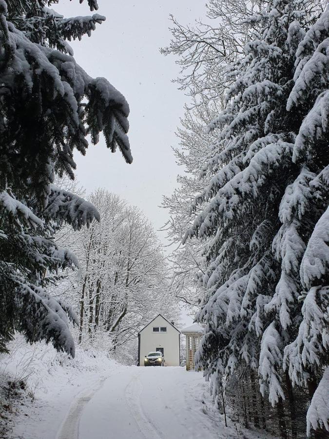 Holiday home Natura Taszow *