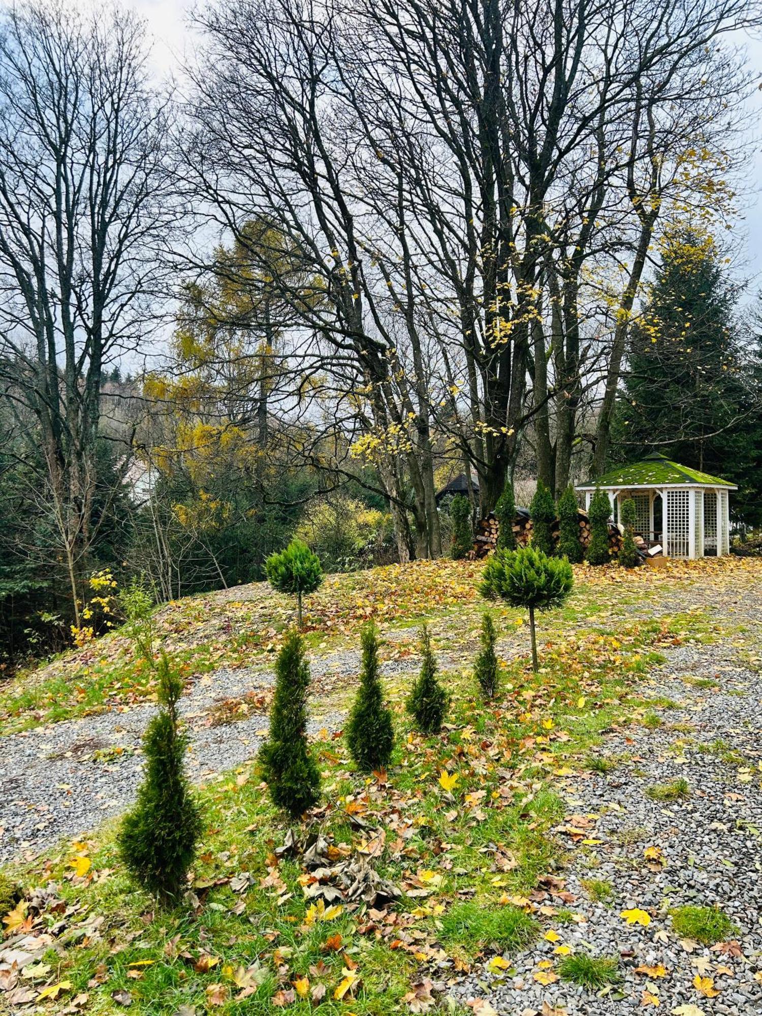 Natura Taszow Holiday home *